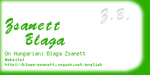 zsanett blaga business card